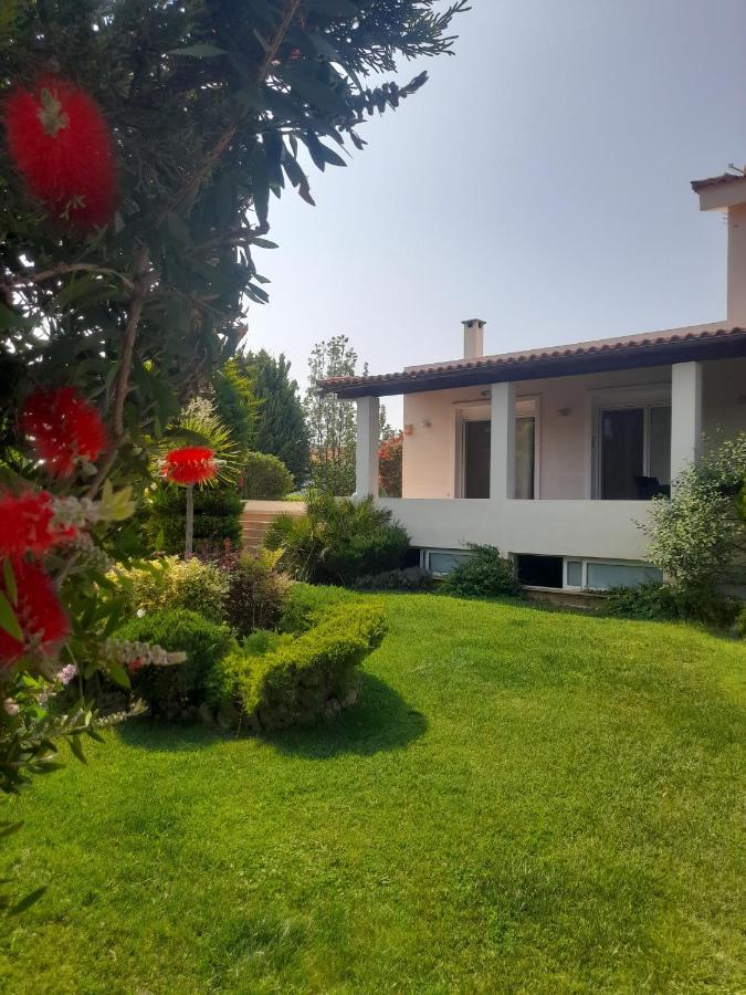 Beautiful Summer Villa In Chalkoutsi Khalkoutsion ภายนอก รูปภาพ