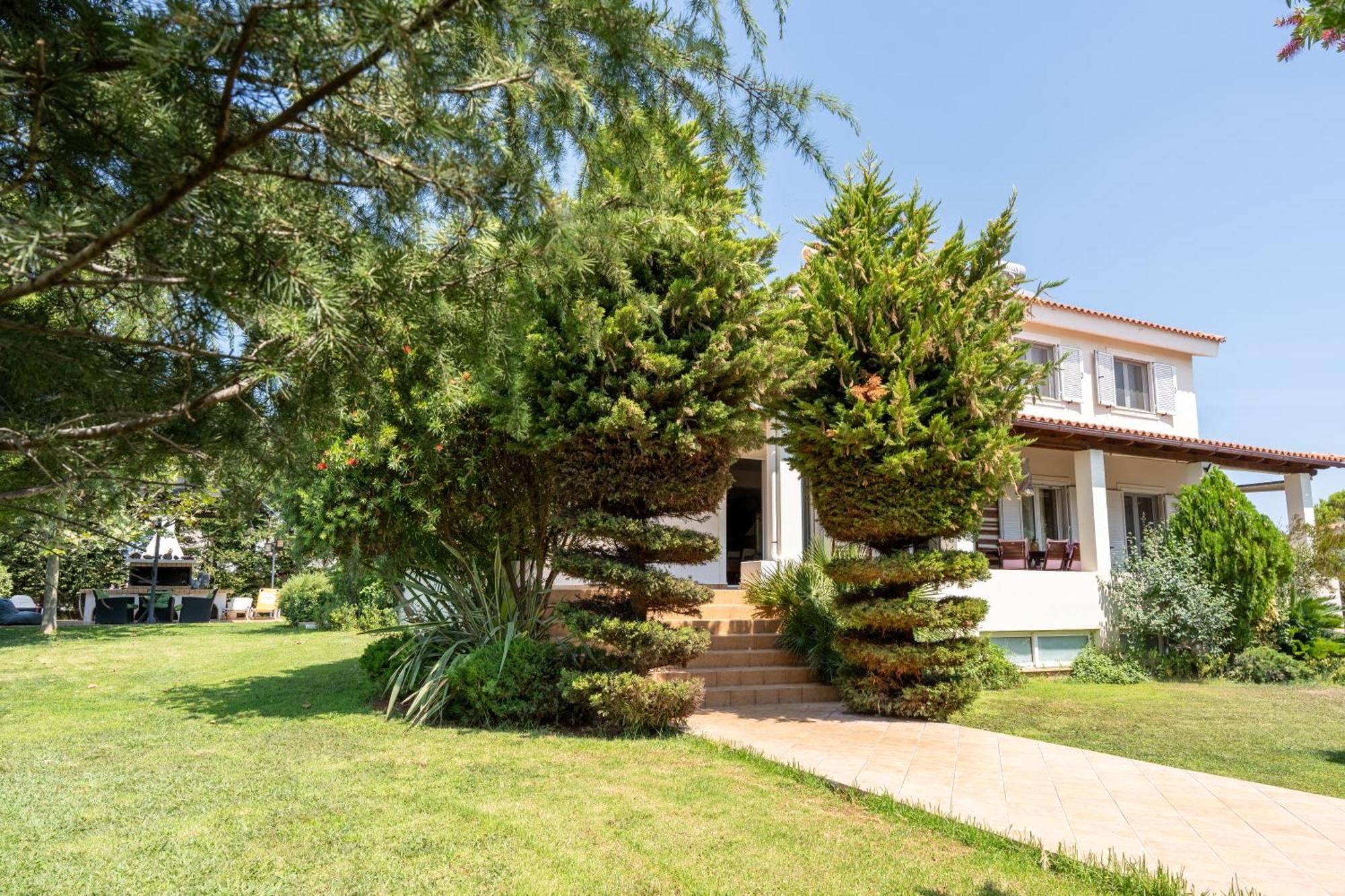 Beautiful Summer Villa In Chalkoutsi Khalkoutsion ภายนอก รูปภาพ