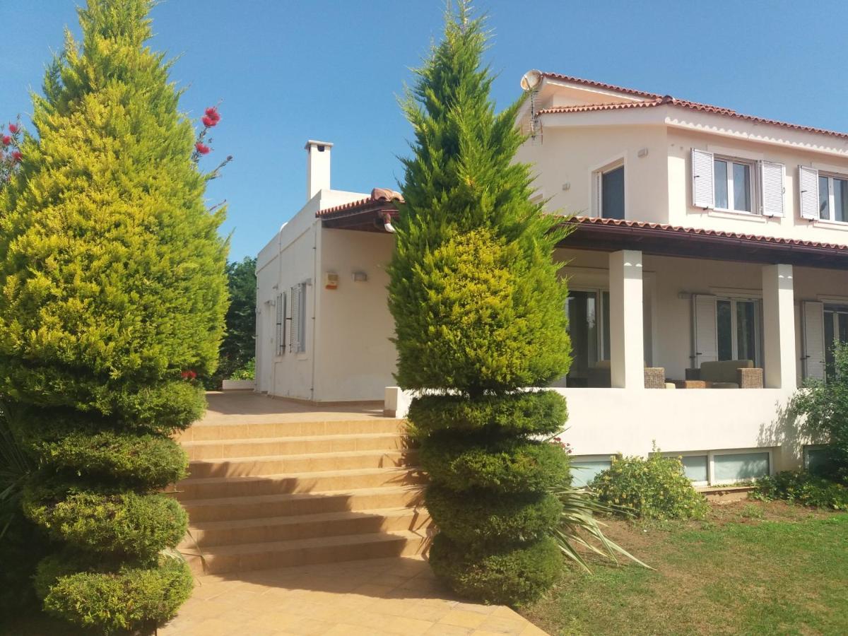 Beautiful Summer Villa In Chalkoutsi Khalkoutsion ภายนอก รูปภาพ