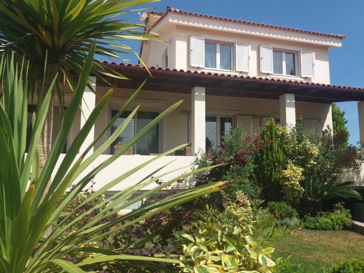 Beautiful Summer Villa In Chalkoutsi Khalkoutsion ภายนอก รูปภาพ