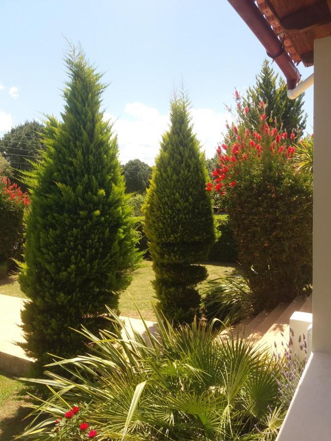 Beautiful Summer Villa In Chalkoutsi Khalkoutsion ภายนอก รูปภาพ